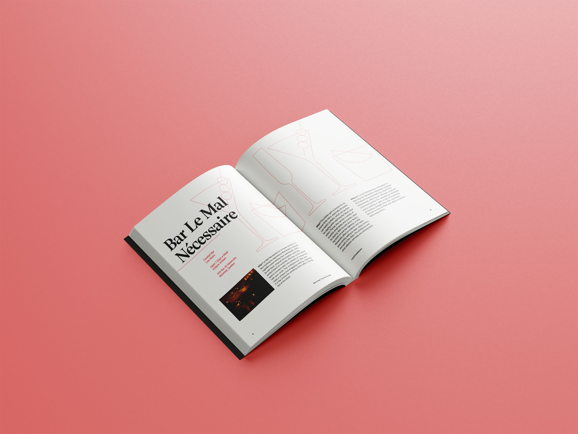 Photo of Inside of Chicane Travel Book